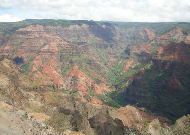 A wide jagged gully spills out and down from the forested canyon rim in jumbled frozen waves of many shades of gray, red, and green. A wide jagged gully spills out and down from the forested canyon rim in jumbled frozen waves of many shades of gray, red, and green.
