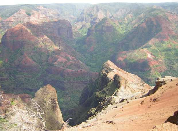 Dappled in shadow and misty light, craggy green-skirted red peaks rise up here and there from forested depths. Dappled in shadow and misty light, craggy green-skirted red peaks rise up here and there from forested depths.