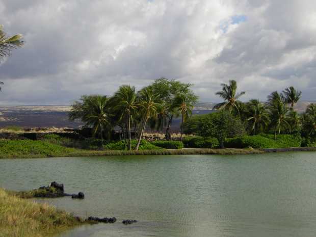 Behind a broad expanse of lightly rippled blue-green water, sculpted hedges and coconut palms only partially hide a vast black and tan desert plain