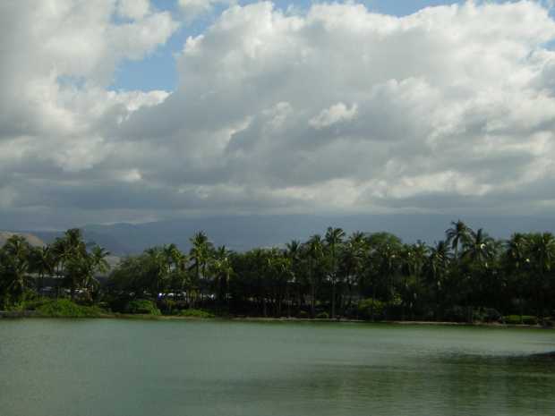 Blue-green water spreads from the foreground to a dense thicket of palms along the shore, behind which a huge, dark mountain rises ponderously under a heavy-clouded sky