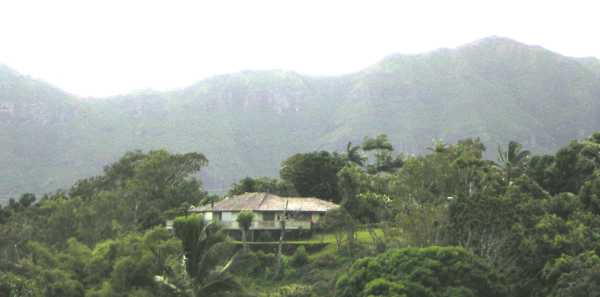 Against a misty-blue, shimmering backdrop of mountains, a ramshackle white house perches precariously on stilts on the rim of a palm-draped gorge.
