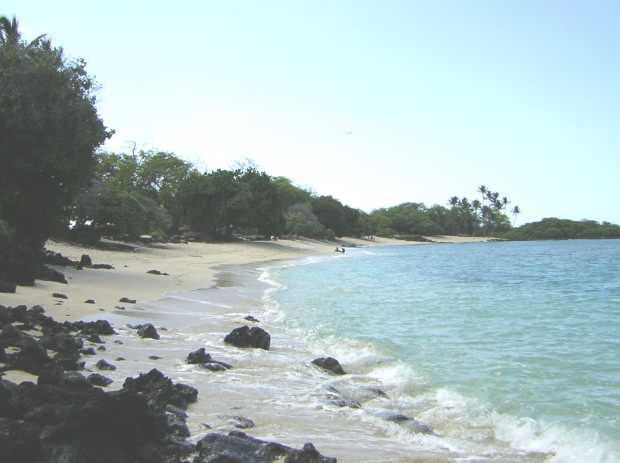 From jumbled sharp black rocks strewn on the water-washed sand in the foreground, the white-sand beach stretches away in a gentle curve with dense vegetation on the left and pale blue ocean on the right.